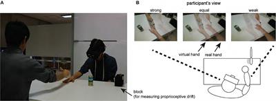 Investigating the Hand Ownership Illusion With Two Views Merged in